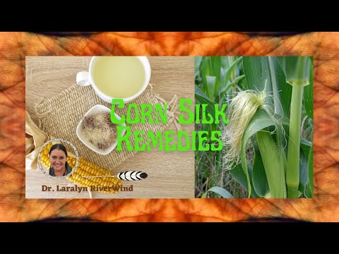 Herbal Moment with Dr. RiverWind: Corn Silk