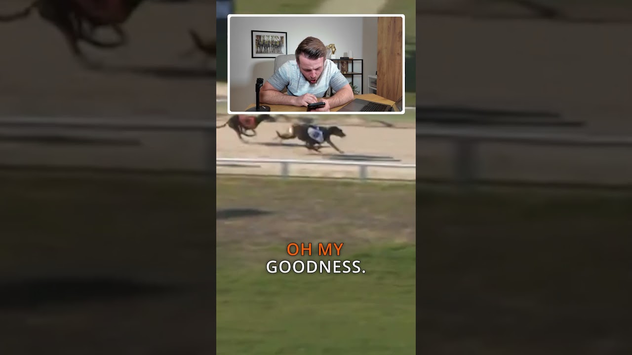 Chinned on the Line! #greyhoundracing #sportsbetting