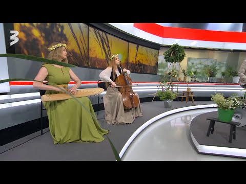 Sinerģija - Visa zemes zāle zied | "900 sekundes" 22.06.23.