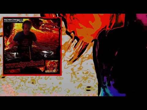 species Kai @ DGRadio (January 2020)