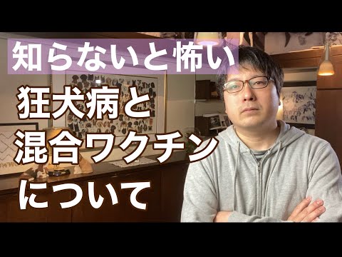 犬の狂犬病 - 症状、感染、治療