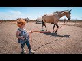 Adley RIDES SPIRIT the Horse!
