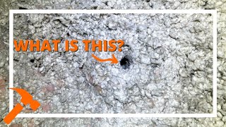 Little Holes in Attic Insulation // How to Identify Mouse Nests