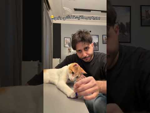 ماتوقعتها من البرتقالي يجرب فيني ترندات #cat #هتضحك #قطط #كوميديات #mycat