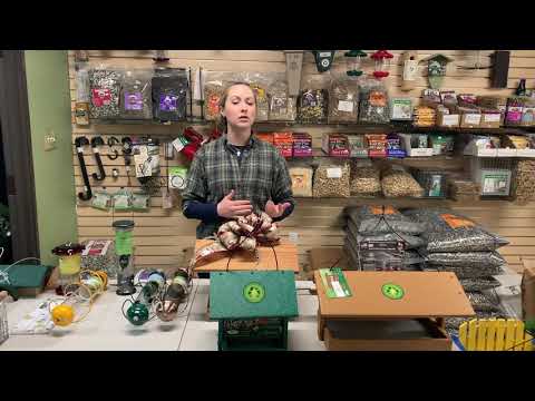 Mondays with Martha #27 - Bird Feeder Basics