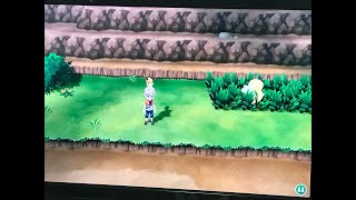 ポケモンレッツゴーイーブイまったり初心者プレイpart3 Pokemon Let’s go Eevee Play part3