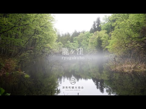 龍ヶ窪　ryugakubo