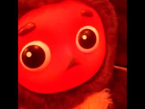 Чебурашка в квартире, рум тур, room tour. Video Vine, вайн.