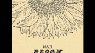 Mae - Bloom