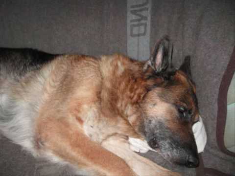 Donata R.I.P 12.02.2010