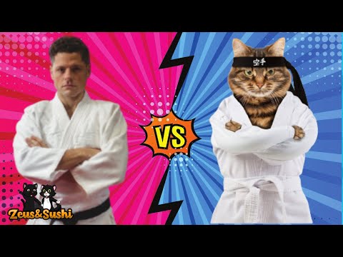 Street Fighter Cats Edition