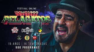 El Natty Combo - Aunque se - Somos 900 PelaGatos