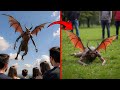 Times When Mythical Creatures Were Accidentally Caught On Camera