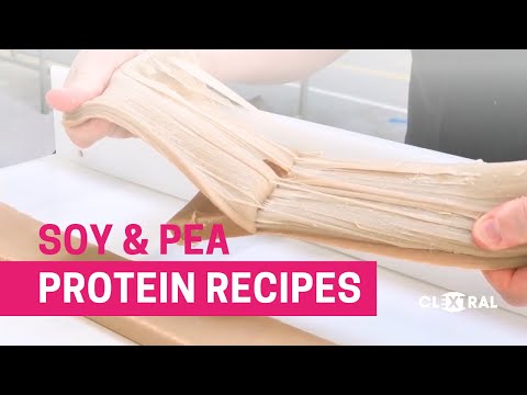 Plant Based Proteins Process with Soy & Pea Protein Recipes
