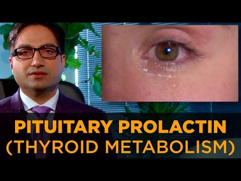 Kung paano kumuha alisan ng cellulite sa binti na may honey Diets hindi makatulong sa iyo na mawalan ng timbang