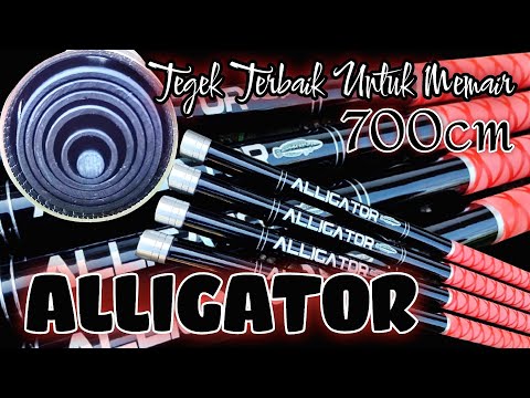 BEST 7meter ALLIGATOR Tegek for WATERING Snakehead & Toman • Tegek for big fish JA Garonger