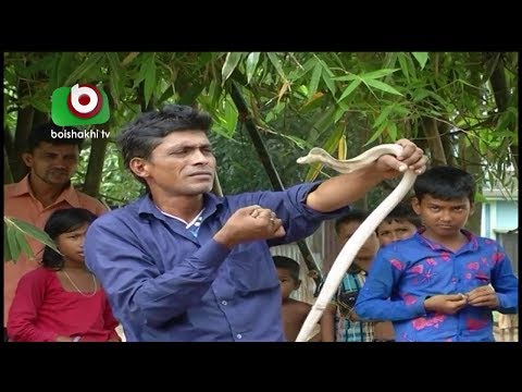 বাংলাদেশে বেদে সম্প্রদায়ের নানা অজানা তথ্য | Beda Community In Bangladesh |Morshed | Pkg1 | Nov 2016