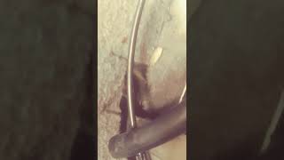 Fix 4 Buick Enclave Passenger Floor Leak
