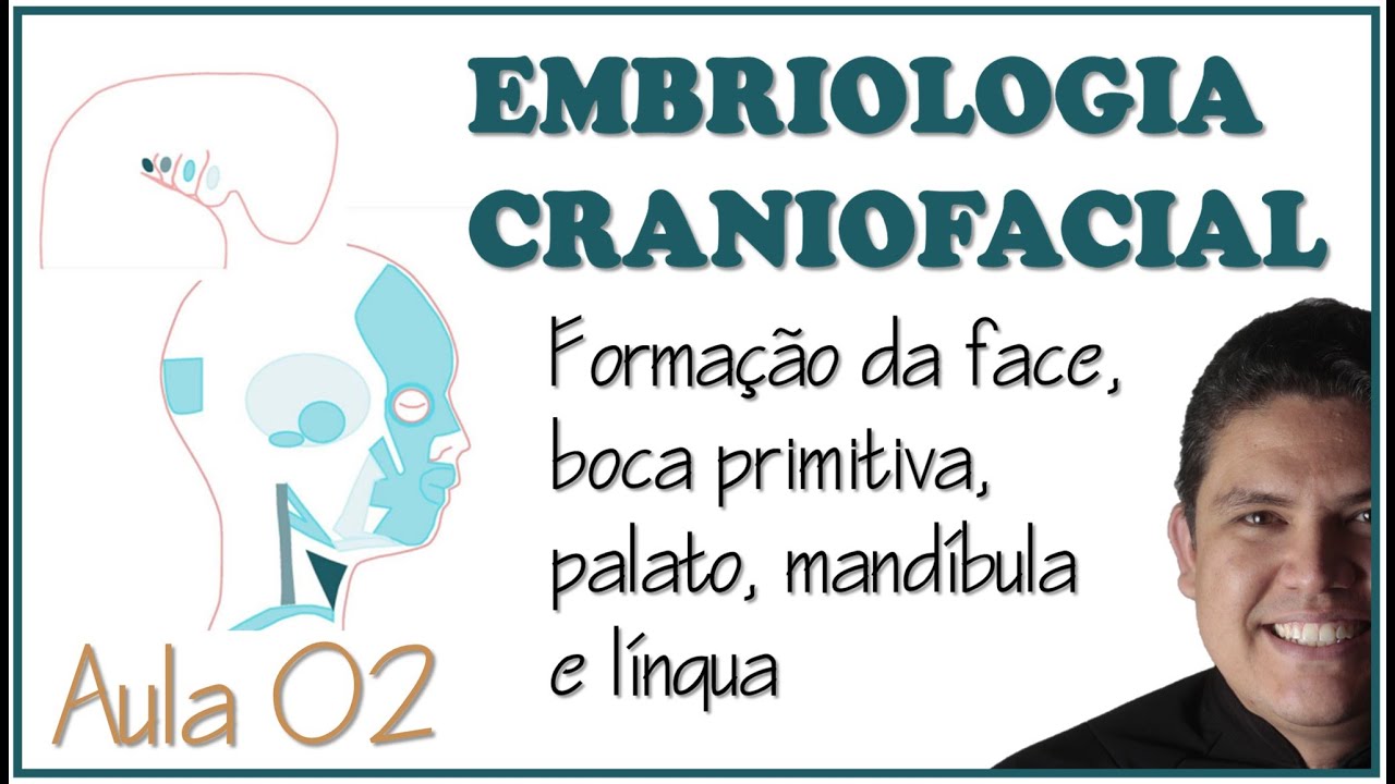 EMBRIOLOGIA - FORMAÇÃO DOS ARCOS FARÍNGEOS, FACE, ESTOMODEU, MANDÍBULA, PALATO E LÍNGUA.