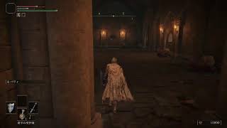 [完全初見]ノエデンリング　その2