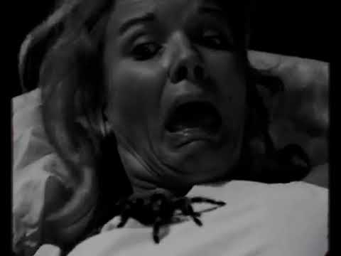 Grotty White & Jack Danz - Neigh (prod. by Jack Danz)