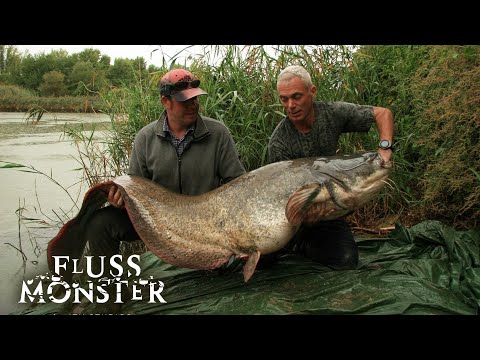 Menschenfresser in Europa: 100 Jahre Bedrohung | S1 E03 | Fluss Monster