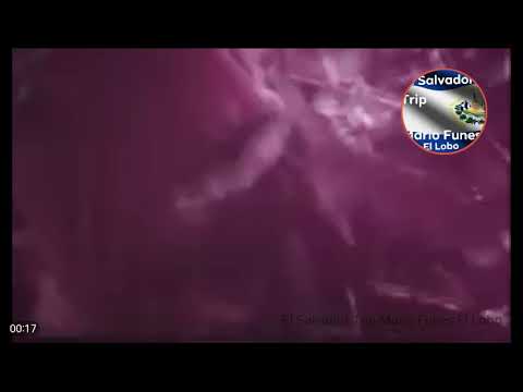 Guanacos hijos de puta. Poema de Amor Roque Dalton El Salvador