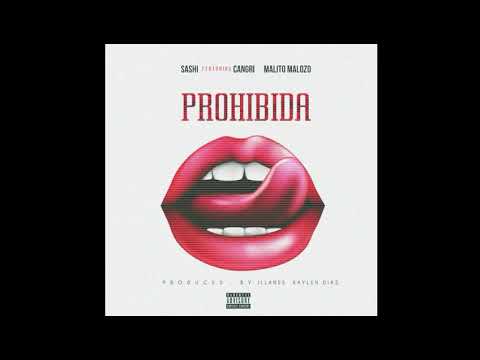 Prohibida 👄 - Sashi x Cangri x malito malozo ( prod Illanes , Kaylen Díaz )