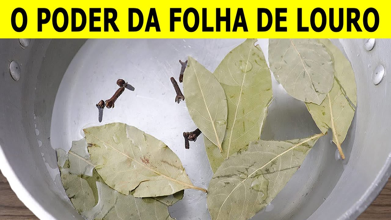 Como Fazer CHÁ DE FOLHA DE LOURO - Benefícios da FOLHA DE LOURO