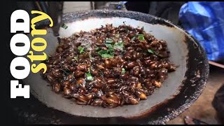 Thumbnail del capítulo