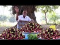 Brinjal Biryani Recipe Yummy Baingan Biryani By Our Grandpa For Orphan Children