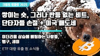 11/16) 쌓이는 숏, 그러나 반등 없는 비트, 단타자들 손절 + 미국 매도세 이더리움 상승에 베팅하는 사람들,펭구, 세이