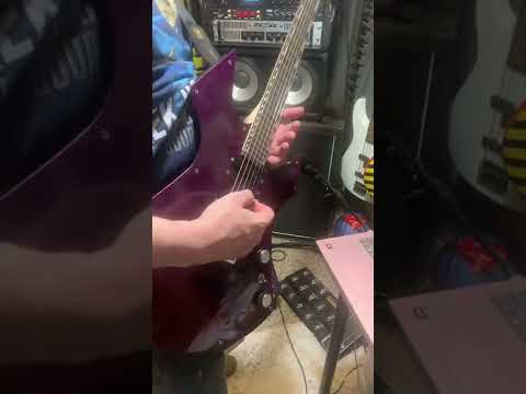 Custom R L James Guitar Custom Animal 2026 - Custom image 26