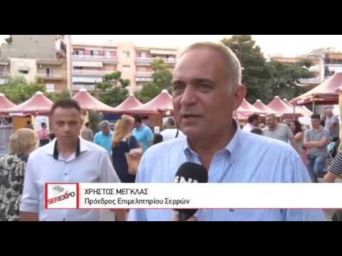 Serexpo  |  Συνέντευξη Μέγκλα