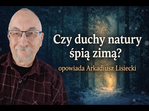 Czy wiesz, że one istnieją? SĘKACZKI, LIŚCIOPKI I ŻÓŁCIKI - Arkadiusz Lisiecki (2026)