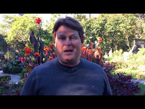 A Thanksgiving Message 2017