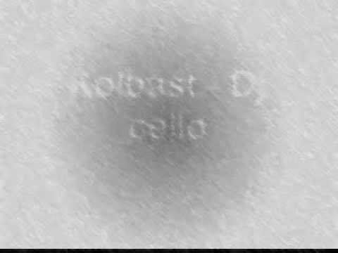 kolbast- dj cello