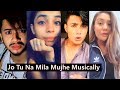 Jo Tu Na Mila Musically Aashika Bhatia Faisu Hasnain Shriya