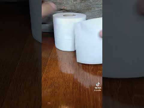 Um quadrado por dia #🧻#tp #paper #rolltp #774th #day #API #Jewish #NHL #MorningRoutine #Satisfying