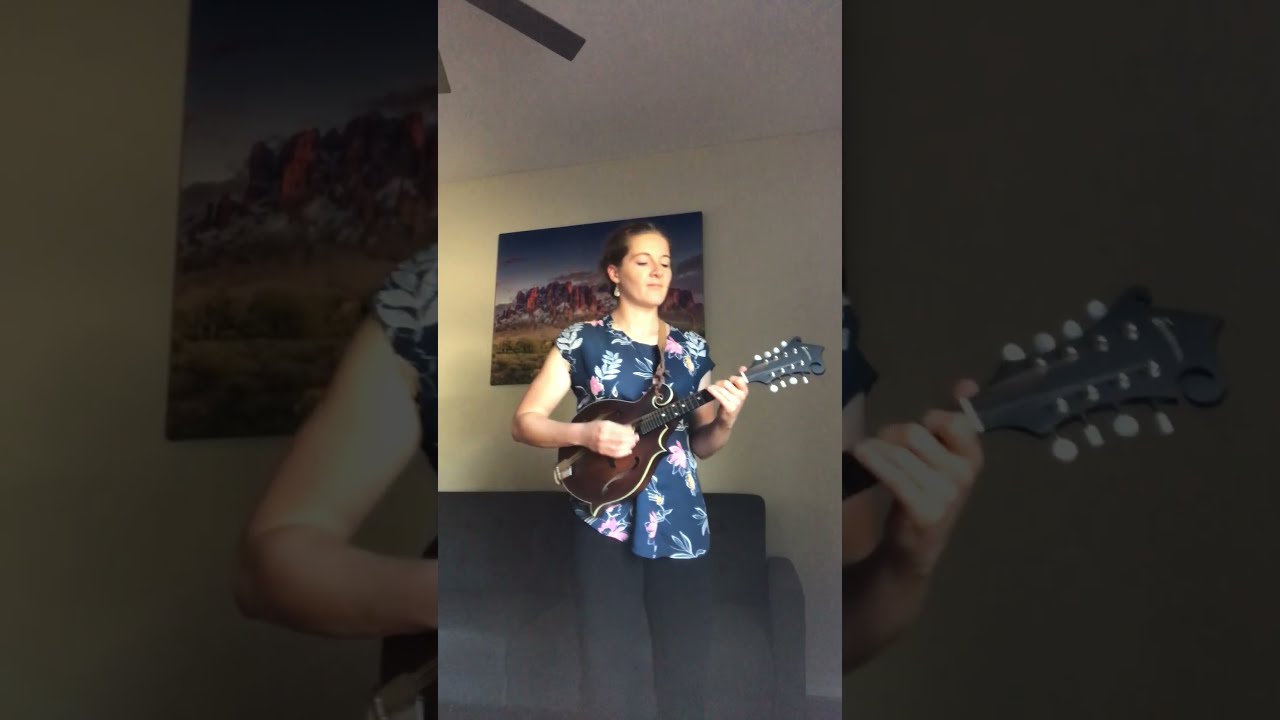 Promotional video thumbnail 2 for Sarah Gripp Violinist