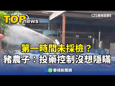 第一時間未採檢？　豬農子：投藥控制沒想隱瞞