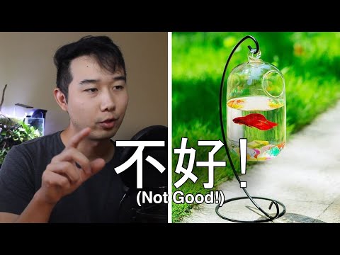Fish Tank Review BUT IN CHINESE (Eng Subs) | 【 FTR 69】