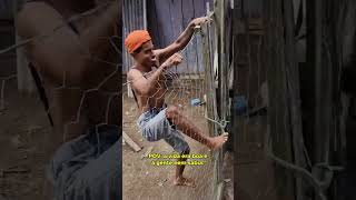 A VIDAH BOA ERA NA ROÇA #humor #videoengraçado
