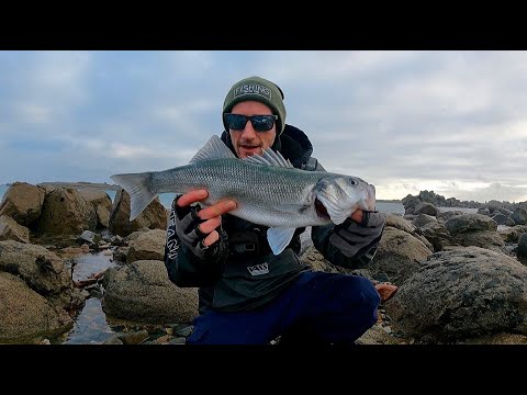 LURE FISHING FOR BASS IN WINTER | A SESSION CUT SHORT BY A HUNGRY SEAL