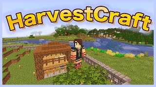 Pam's HarvestCraft 1.15.2 EP1 : What is this mod