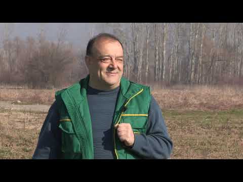 Boja meda ep. 162 13.04.2021. Medenje, bagremova paša, pčelinji ples, uljana repica, kvalitet paše