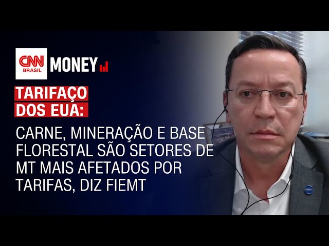 Fiemt: carne, mineração e base florestal são setores de MT mais afetados por tarifas | Money News