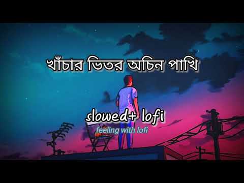 Khachar Bhitor Ochin Pakhi ! [slowed+Lofi]🎶! @feelinwithlofi