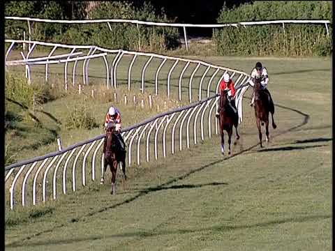 Galoppo 31/07/2019 - 2ª corsa