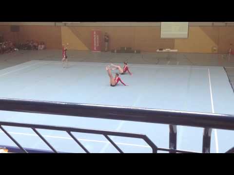 DM 2013-WG JUN1 COMBINED - Mauswolf, Sohl, Riestedt